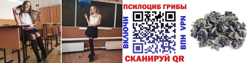 Псилоцибиновые грибы мицелий  купить  цена  Кириллов 